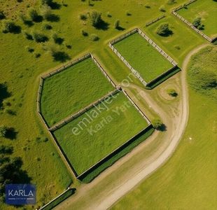 Arsa-Tarla