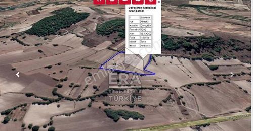 Arsa-Tarla