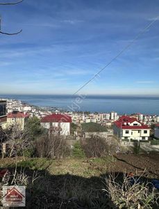 Arsa-Villa İmarlı