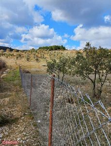 Arsa-Zeytinlik