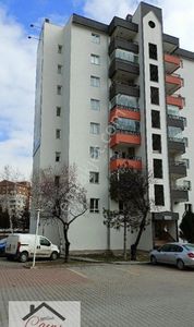 Konut-Daire