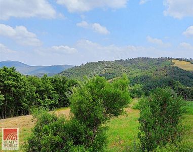 Arsa-Tarla