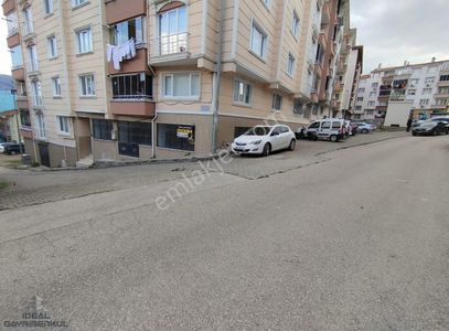İşyeri-Dükkan & Mağaza