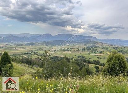 Arsa-Tarla