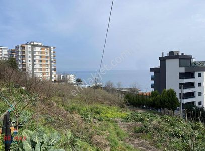Arsa-Toplu Konut İçin