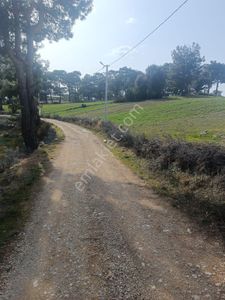 Arsa-Tarla