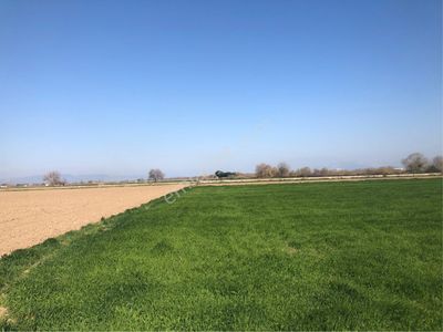 Arsa-Tarla