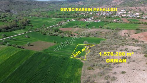 Arsa-Tarla