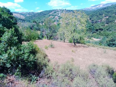 Arsa-Tarla