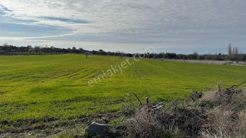 Arsa-Tarla