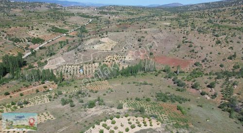 Arsa-Bağ & Bahçe