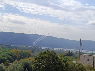 Arsa-Bağ & Bahçe