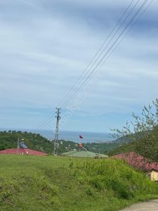 Arsa-Bağ & Bahçe