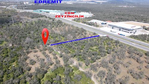 Arsa-Zeytinlik