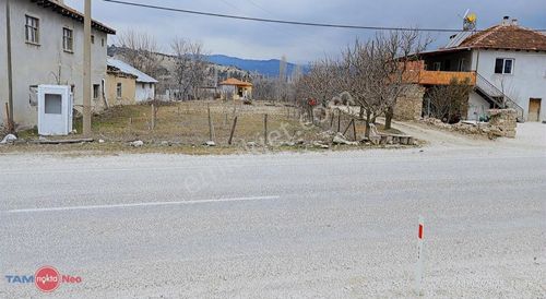 Arsa-Bağ & Bahçe