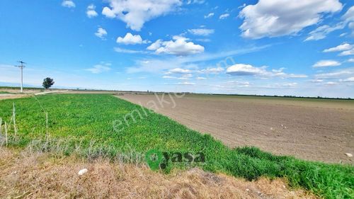 Arsa-Tarla