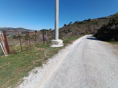 Arsa-Bağ & Bahçe
