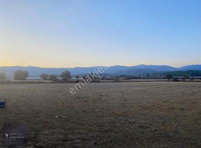 Arsa-Tarla