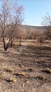 Arsa-Tarla