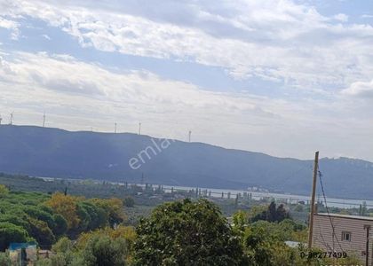 Arsa-Bağ & Bahçe