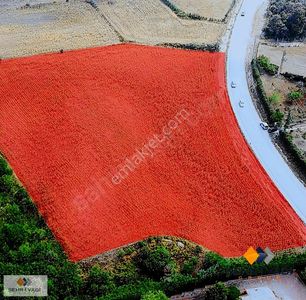 Arsa-Özel Kullanım