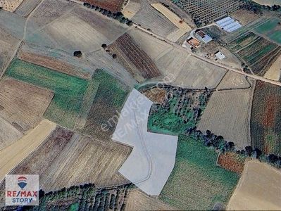 Arsa-Tarla