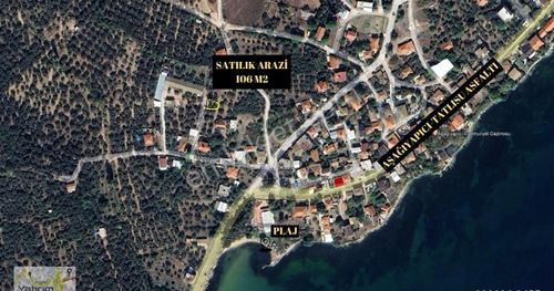 Arsa-Zeytinlik