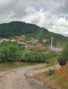 Arsa-Tarla