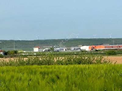 Arsa-Tarla