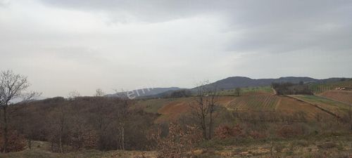 Arsa-Tarla