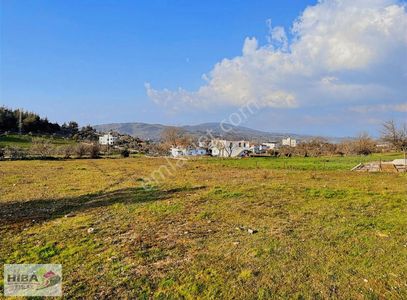 Arsa-Konut İmarlı
