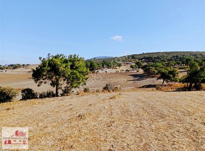 Arsa-Tarla