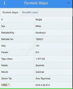 Arsa-Zeytinlik