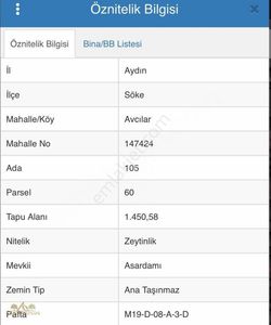 Arsa-Zeytinlik