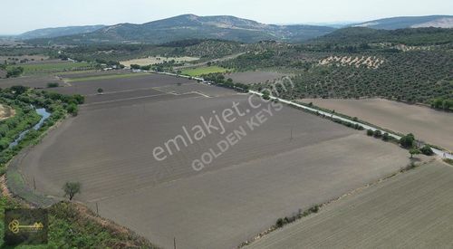 Arsa-Tarla