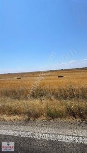 Arsa-Tarla