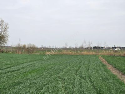 Arsa-Tarla
