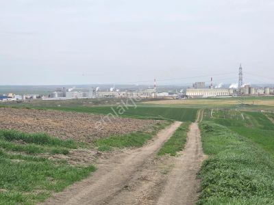 Arsa-Tarla