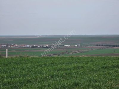 Arsa-Tarla