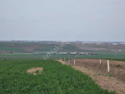 Arsa-Tarla