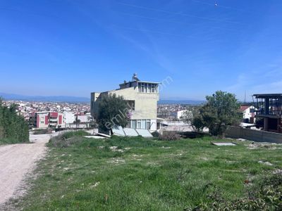 Arsa-Konut+Ticaret Alanı