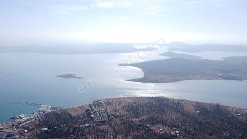 Arsa-Zeytinlik