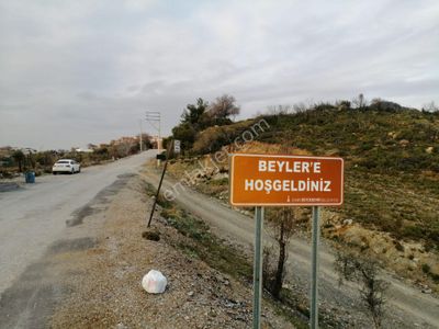 Arsa-Zeytinlik
