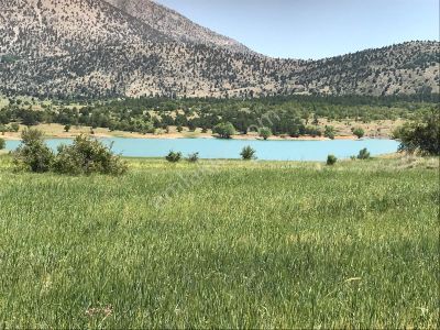 Arsa-Tarla