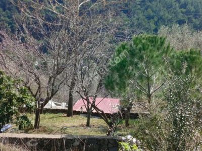 Arsa-Konut İmarlı
