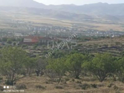 Arsa-Bağ & Bahçe