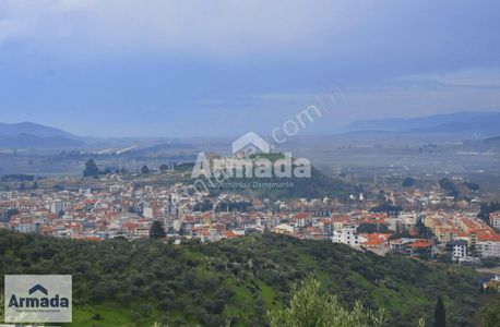 Arsa-Zeytinlik