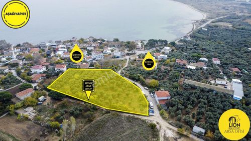 Arsa-Zeytinlik