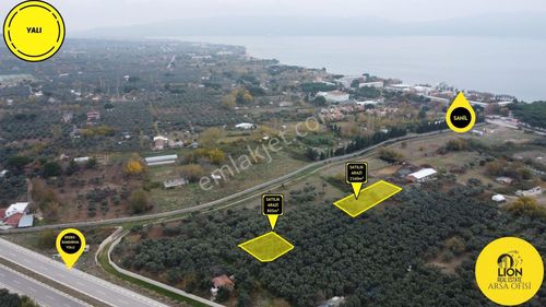 Arsa-Arazi