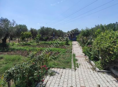 Arsa-Bağ & Bahçe